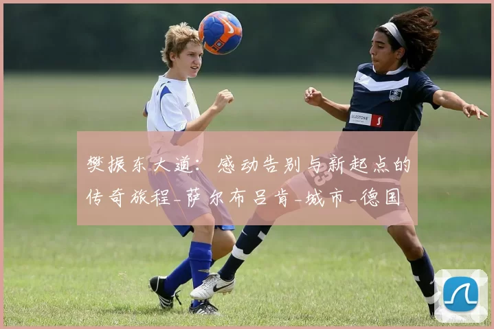 樊振东大道：感动告别与新起点的传奇旅程_萨尔布吕肯_城市_德国