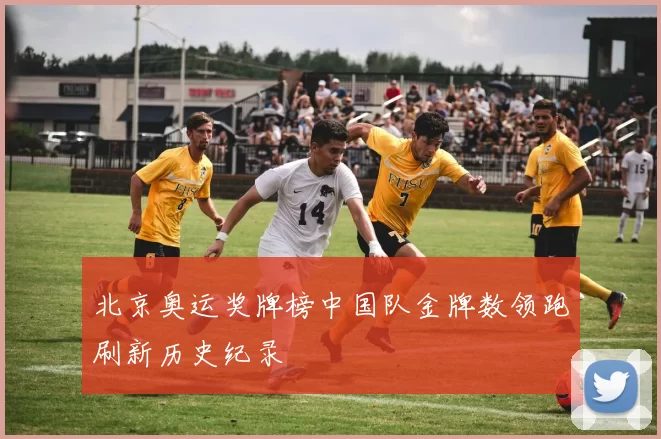 北京奥运奖牌榜中国队金牌数领跑刷新历史纪录