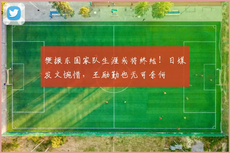 樊振东国家队生涯或将终结！日媒发文惋惜，王励勤也无可奈何