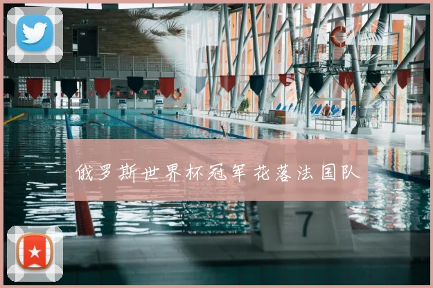 俄罗斯世界杯冠军花落法国队