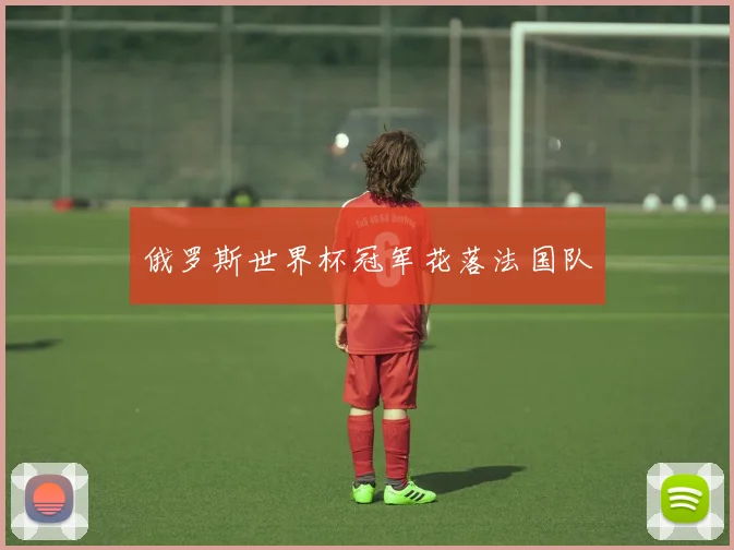 俄罗斯世界杯冠军花落法国队